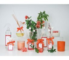 Missi Nar Oda Kokusu 230 ml