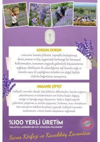 Dr. Lavender Lavanta Oda Kokusu 100 ml