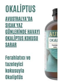 Auran Okaliptus Oda Kokusu 100 ml