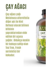 Auran Çay Ağacı Oda Kokusu 100 ml