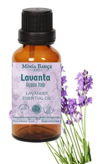 Minia Bahçe Lavanta Oda Kokusu 10 ml