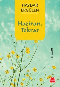 Haziran Tekrar Haydar Ergülen Kırmızı Kedi