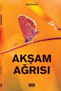 Akşam Ağrısı Hüseyin Kaya Eşik Yayınları