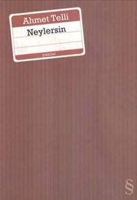 Neylersin Ahmet Telli Everest Yayınları