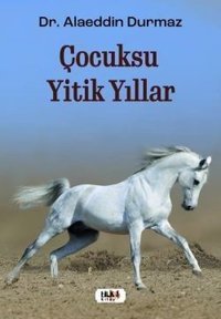 Çocuksu Yitik Yıllar Alaeddin Durmaz Tilki Kitap