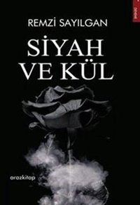 Siyah ve Kül Remzi Sayılgan Araz Kitap