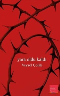 Yara Oldu Kaldı Veysel Çolak Kaos Çocuk Parkı
