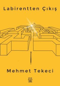 Labirentten Çıkış Mehmet Tekeci Luna Yayınları