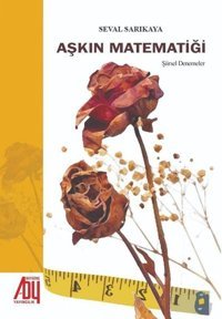 Aşkın Matematiği Seval Sarıkaya Baygenç Yayıncılık