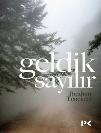 Geldik Sayılır İbrahim Tenekeci Profil Kitap