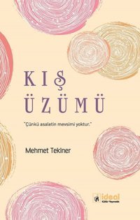 Kış Üzümü Mehmet Tekiner İdeal Kültür Yayıncılık