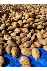 Sultan Ceviz Bahçeleri Organik Tane Çiğ Kabuklu Badem 6 kg