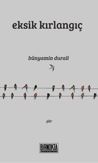 Eksik Kırlangıç Bünyamin Durali Bir Nokta Kitaplığı