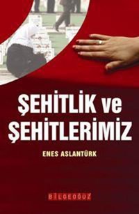 Şehitlik ve Şehitlerimiz Enes Arslantürk Bilgeoğuz Yayınları
