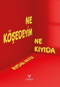 Ne Köşedeyim Ne Kıyıda Aydın Akyüz Theseus Yayınevi