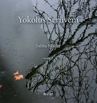 Yokoluş Serüveni Saliha Nilüfer Alef