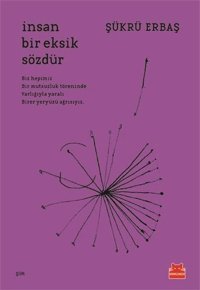 İnsan Bir Eksik Sözdür Şükrü Erbaş Kırmızı Kedi