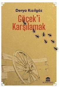 Göçek'i Karşılamak Derya Kızılgöz Rönesans Yayınları