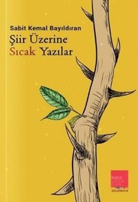 Şiir Üzerine Sıcak Yazılar Sabit Kemal Bayıldıran Kaos Çocuk Parkı