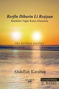 Berfin Dibarin Li Reşiyan - Kardelen Yağar Karın Alacasına Abdullah Karabağ Sokak Kitapları Yayınları