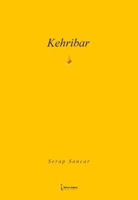 Kehribar Serap Sancar İkinci Adam Yayınları