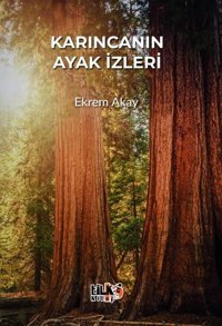 Karıncanın Ayak İzleri Ekrem Akay Tilki Kitap
