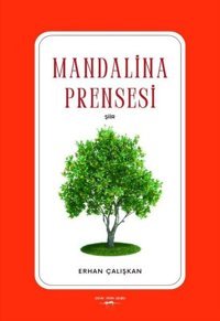 Mandalina Prensesi Erhan Çalışkan Sokak Kitapları Yayınları