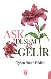 Aşk Desem Az Gelir Oyhan Hasan Bıldırki Dorlion Yayınevi