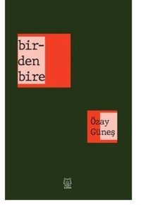 Birdenbire Özay Güneş Luna Yayınları