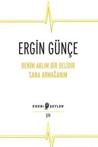 Benim Aklım Bir Delidir Sana Armağanım Ergin Günçe Edebi Şeyler