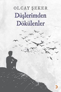 Düşlerimden Dökülenler Olcay Şeker Cinius