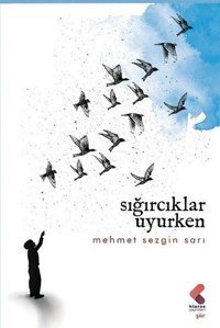 Sığırcıklar Uyurken Mehmet Sezgin Sarı Klaros Yayınları