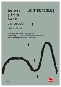 Herkes Gitmiş Hepsi Bir Arada Akif Kurtuluş Kırmızı Kedi