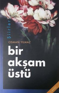 Bir Akşam Üstü Osman Yılmaz SFN Yayınları