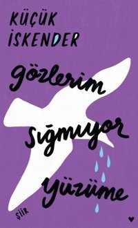 Gözlerim Sığmıyor Yüzüme-Ciltli küçük İskender Can Yayınları