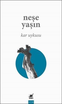 Kar Uykusu Neşe Yaşın Ayrıntı Yayınları