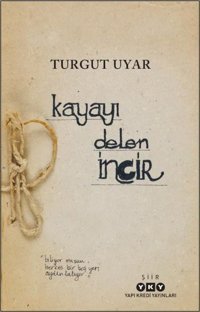 Kayayı Delen İncir Turgut Uyar Yapı Kredi Yayınları