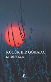 Küçük Bir Gökada Profil Kitap