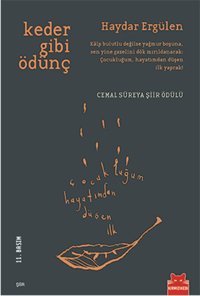 Keder Gibi Ödünç Haydar Ergülen Kırmızı Kedi