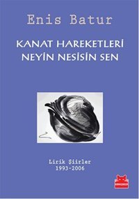 Kanat Hareketleri Neyin Nesisin Sen Enis Batur Kırmızı Kedi