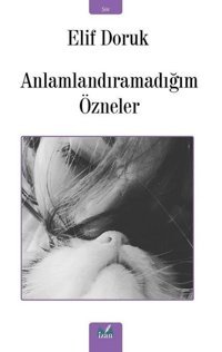 Anlamlandıramadığım Özneler Elif Doruk İzan Yayıncılık