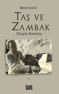 Taş ve Zambak Mitat Çelik Şiirden Yayınları
