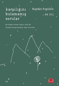 Karşılığını Bulamamış Sorular Haydar Ergülen Kırmızı Kedi