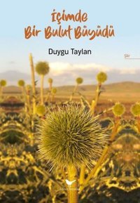 İçimde Bir Bulut Büyüdü Duygu Taylan Günce Yayınları