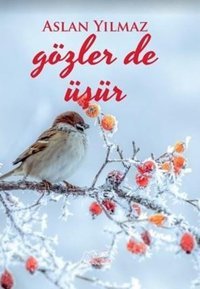 Gözler de Üşür Aslan Yılmaz Kuytu Yayınları
