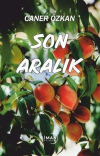 Son Aralık Caner Özkan Liman Yayınevi