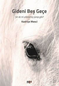 Gideni Beş Geçe Kadriye Mesci Tilki Kitap