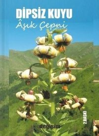 Dipsiz Kuyu Aşık Çepni Değişim Yayınları