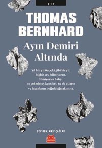 Ayın Demiri Altında Thomas Bernhard Kırmızı Kedi