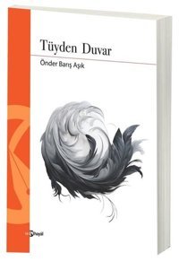 Tüyden Duvar Önder Barış Aşık Hayal